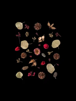 Assorterede Naturdekorationer