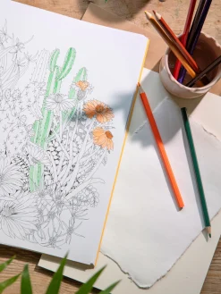 Beautiful Planet Colouring Book