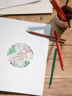 Beautiful Planet Colouring Book