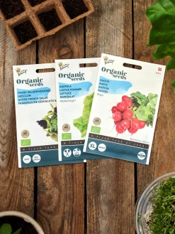 Buzzy® økologisk Raxe Radisefrø