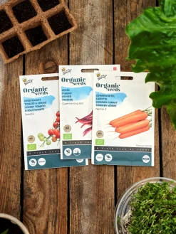 Buzzy® økologiske Chilipeberfrø Cayenne Long Slim