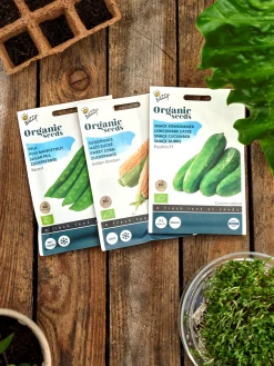 Buzzy® økologiske Record ærtefrø