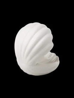 Dekorativ Musling