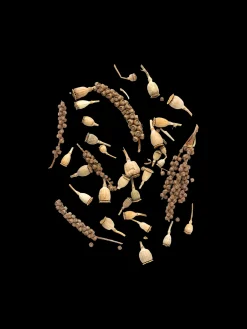 Dekorativ Valmueblanding