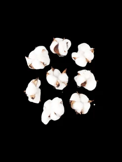 Dekorative Bomuldsblomster