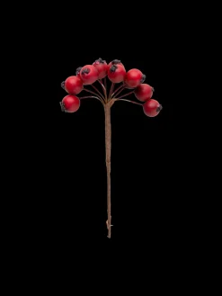 Dekorative Røde Bær