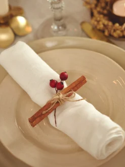 Dekorative Røde Bær