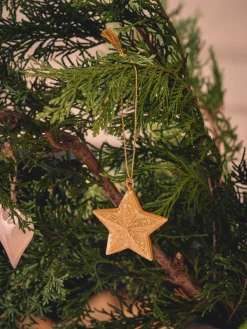 Juleophæng Med Stjerne