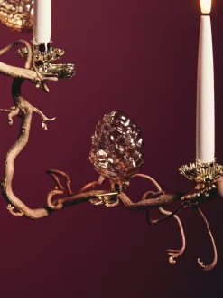 Klemme Med Fyrrekogle