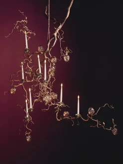 Klemme Med Fyrrekogle