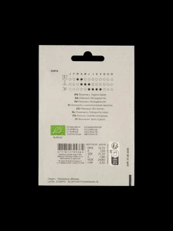 Økologiske Rosmarinfrø