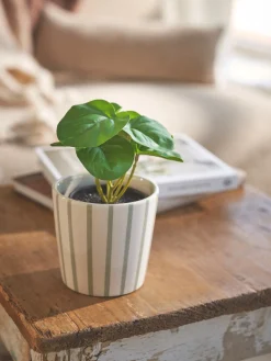 Kunstig Blomst I Potte