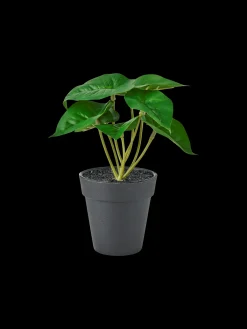 Kunstig Blomst I Potte