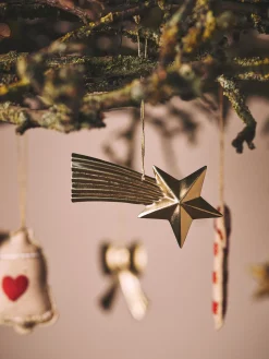 Ornament Med Stjerneskud