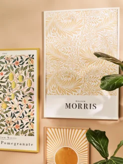 Plakat Larkspur 50 X 70