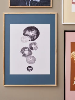 Plakat Mushroom - 4 Grey 40 X 50