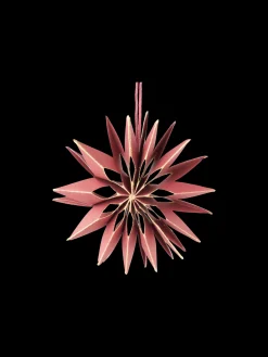 Stjerne Til Ophæng Ø10 Cm