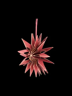 Stjerne Til Ophæng Ø10 Cm