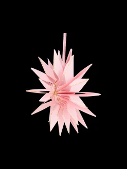 Stjerne Til Ophæng Ø10 Cm