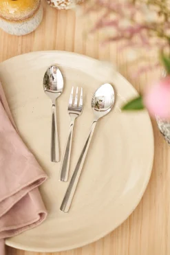 Teske Med Blank Overflade