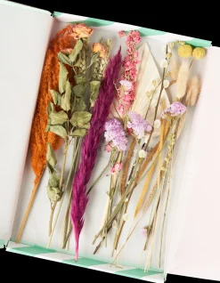 Tørrede Blomster BloomPost