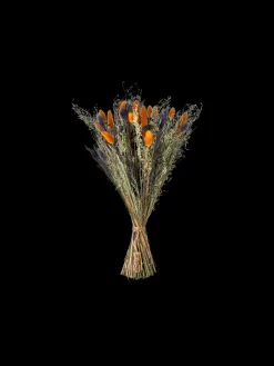 Tørrede Blomster Blue Lille