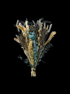 Tørrede Blomster Fiola Medium