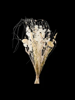 Tørrede Blomster Patricia Medium