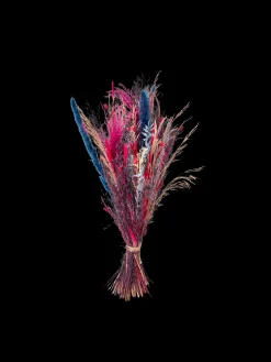 Tørrede Blomster Pink Medium