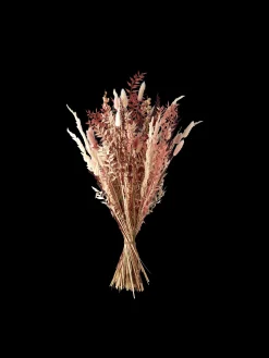 Tørrede Blomster Rosa Medium