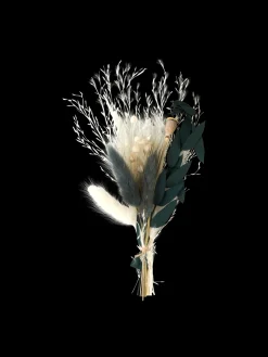 Tørrede Blomster Til DIY