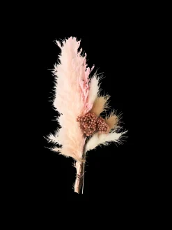 Tørrede Blomster Til DIY