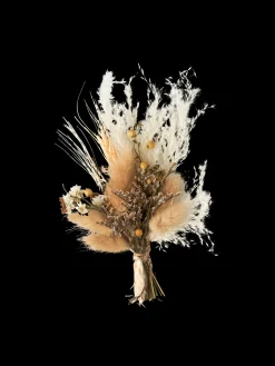 Tørrede Blomster Til DIY