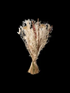 Tørrede Blomster White Medium