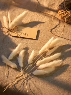 Tørret Harehalegræs Til DIY