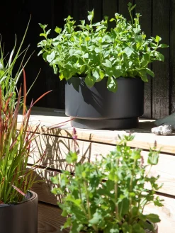 Urtepotte Heos Ø29,8 Cm