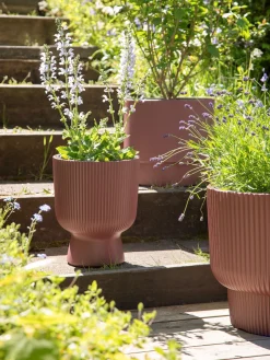 Urtepotte Milly Ø23,9 Cm