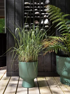 Urtepotte Milly Ø23,9 Cm