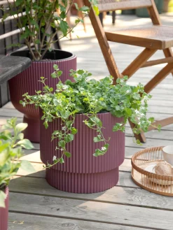 Urtepotte Milly Ø29,8 Cm