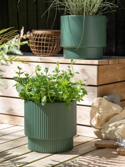 Urtepotte Milly Ø29,8 Cm