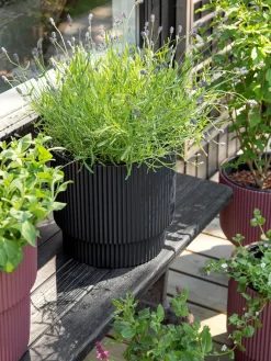 Urtepotte Milly Ø29,8 Cm