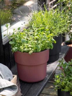 Urtepotte Milly Ø29,9 Cm