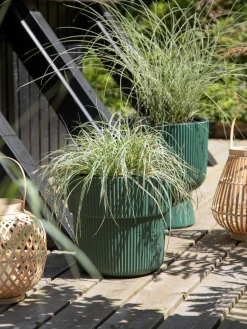 Urtepotte Milly Ø29,9 Cm