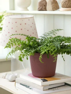 Urtepotte Milly Ø16,9 Cm