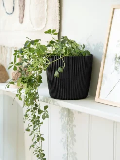 Urtepotte Milly Ø16,9 Cm