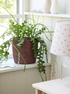 Urtepotte Milly Ø23,6 Cm