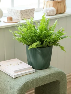 Urtepotte Milly Ø23,6 Cm